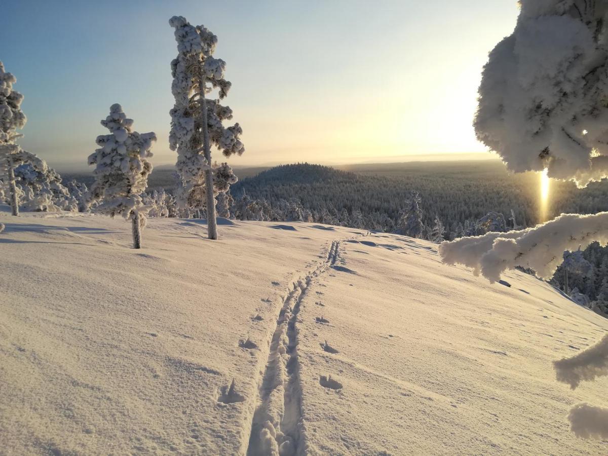 Villa Raekkipirtti Luosto Esterno foto