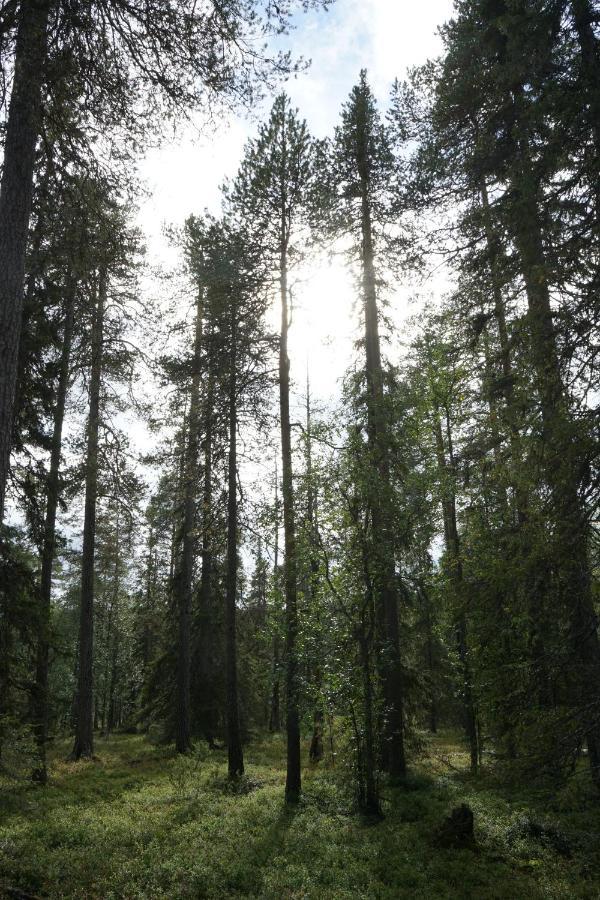 Villa Raekkipirtti Luosto Esterno foto